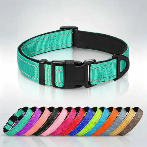 How to size a dog collar?